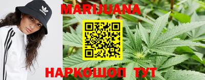apvp Моздок
