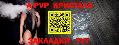 apvp Моздок
