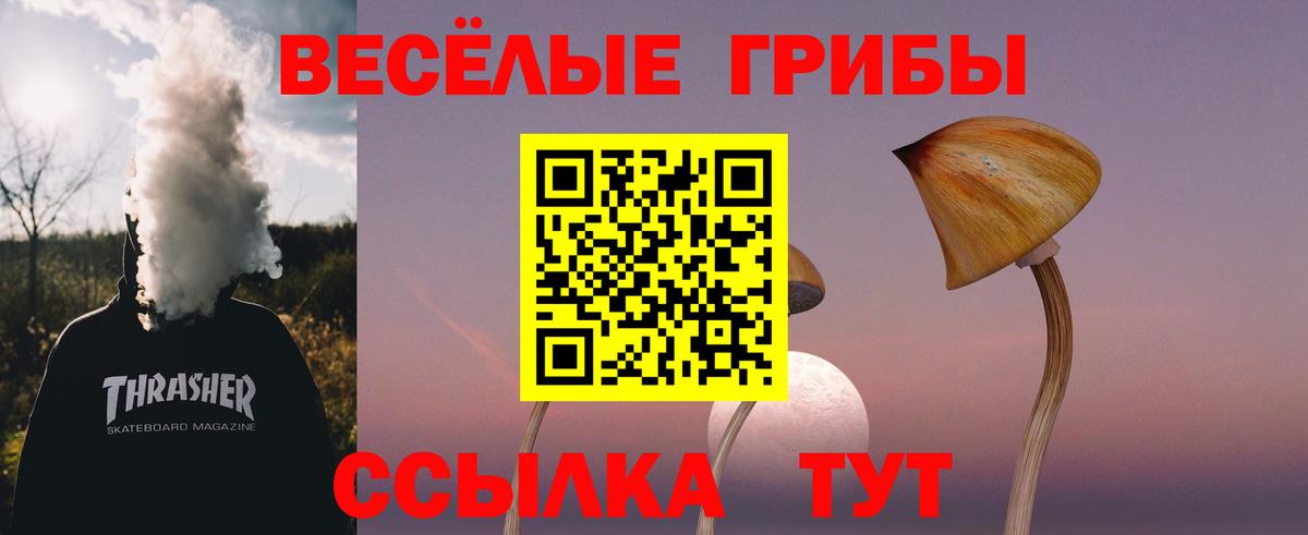 Галлюциногенные грибы мицелий  Вход с VPN  закладки  Соль-Илецк 